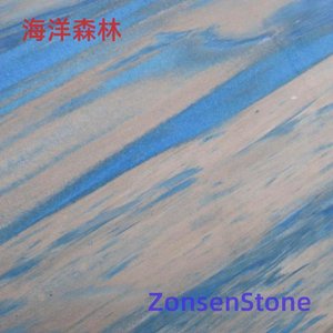 海洋森林