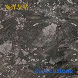 海洋灰钻