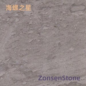 海螺之星