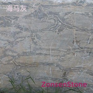 海马灰