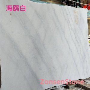海鸥白
