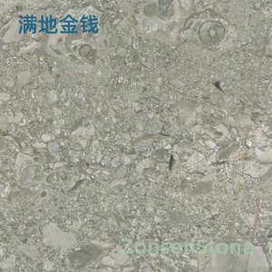 满地金钱