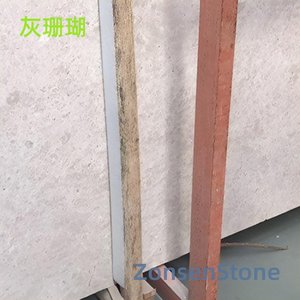 灰珊瑚