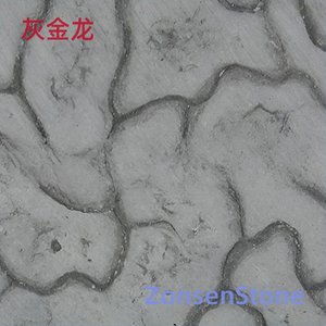 灰金龙