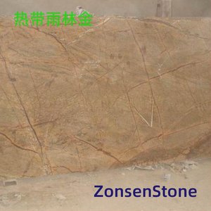 热带雨林金