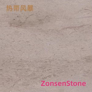 热带风暴