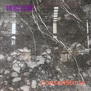 特拉吉斯