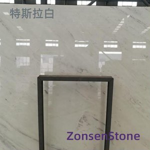 特斯拉白