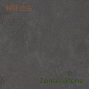 特斯拉金