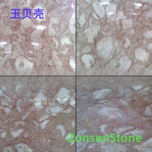 玉贝壳
