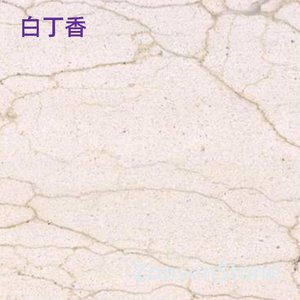白丁香