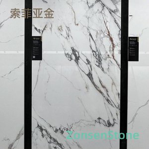 索菲亚金