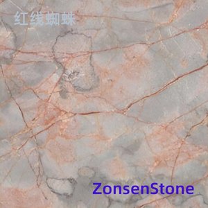 红线蜘蛛