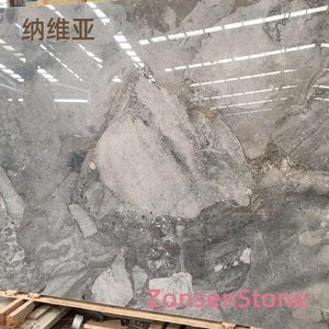 纳维亚