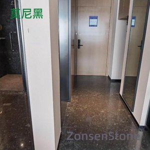 莫尼黑