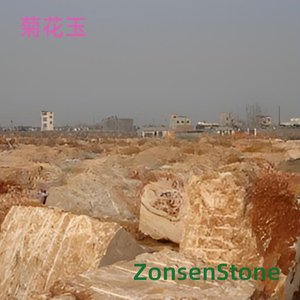 菊花玉