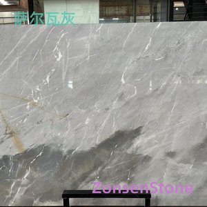 萨尔瓦灰