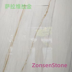萨拉维拉金