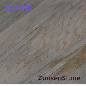 蓝玫时代
