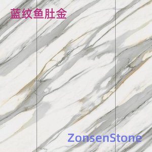 蓝纹鱼肚金