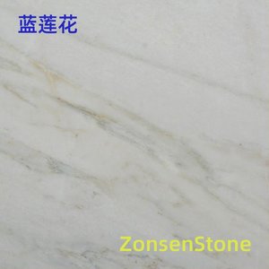 蓝莲花