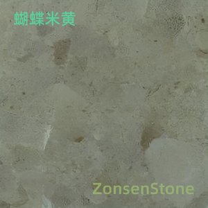 蝴蝶米黄
