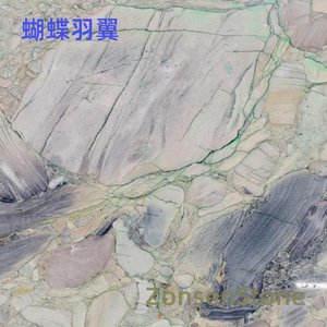 蝴蝶羽翼