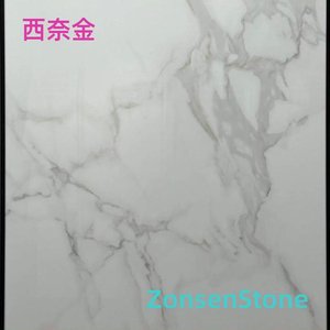 西奈金