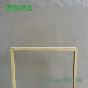 西欧银龙