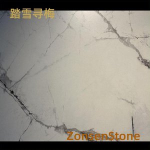 踏雪寻梅