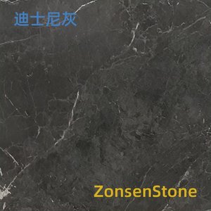 迪士尼灰