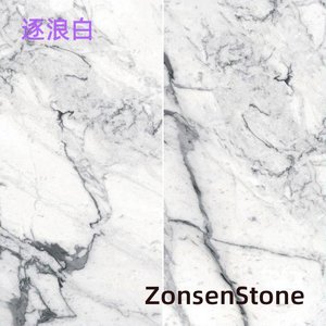 逐浪白