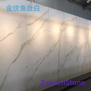 金纹鱼肚白