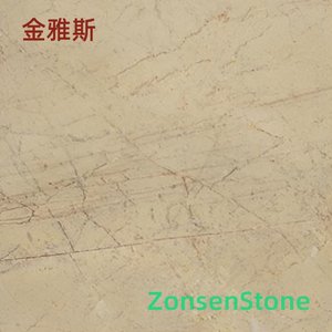 金雅斯