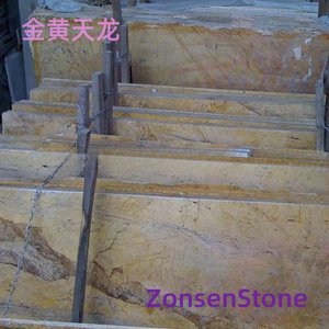 金黄天龙