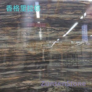 香格里拉棕