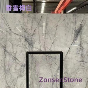 香雪梅白