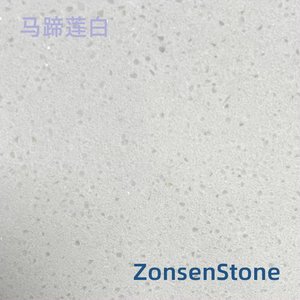 马蹄莲白