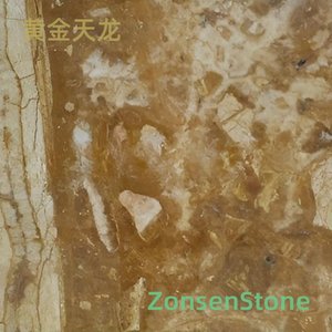 黄金天龙