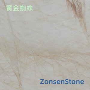黄金蜘蛛