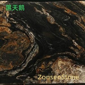 黑天鹅