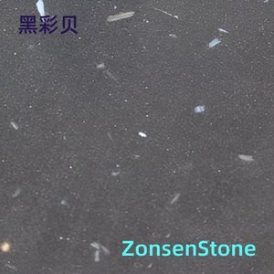 黑彩贝