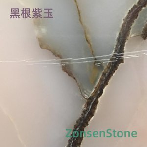 黑根紫玉
