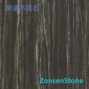 黑金木化石