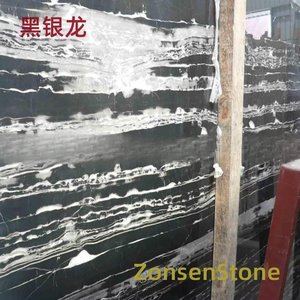黑银龙