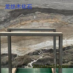 龙纹木化石
