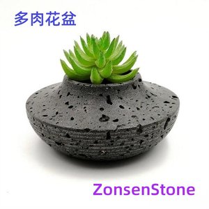 多肉花盆