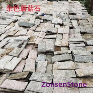 杂色蘑菇石