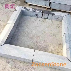 树坑