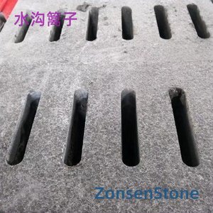 水沟篱子